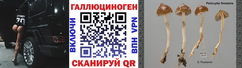 Псилоцибиновые грибы ЛСД  сколько стоит  Лесозаводск 